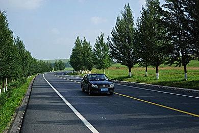 全员绿帽，开启狂欢！《方块方舟》圣帕特里克节版本上线