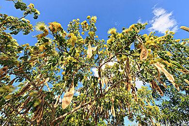 旅行ADV游戏《风雨来记4》11处新景点公布  领略古迹古城